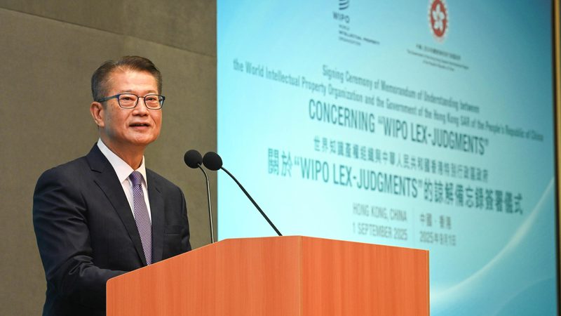 实用新型专利审查流程全解析，助您轻松应对